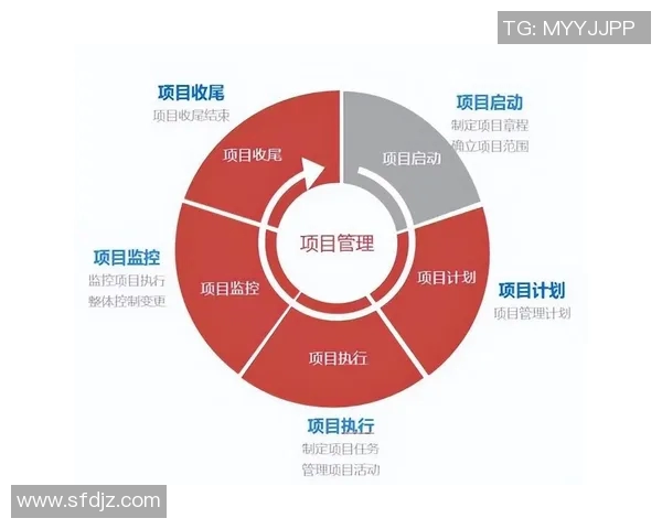 南京羽毛球队团队协作的成功秘诀与实践探索分析