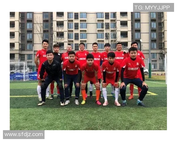 南京足球队在挑战赛中的力量表现分析与点评