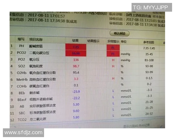 广州排球队在联合会杯中的比赛经验与表现分析