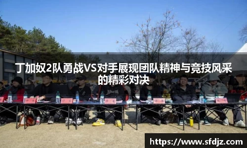 VSport胜利因您更精彩