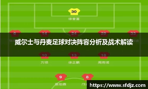 VSport胜利因您更精彩
